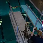 Konsert med Torben Snekkestad i svømmehallen